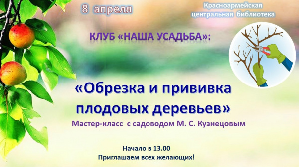 Обрезка и прививка плодовых деревьев