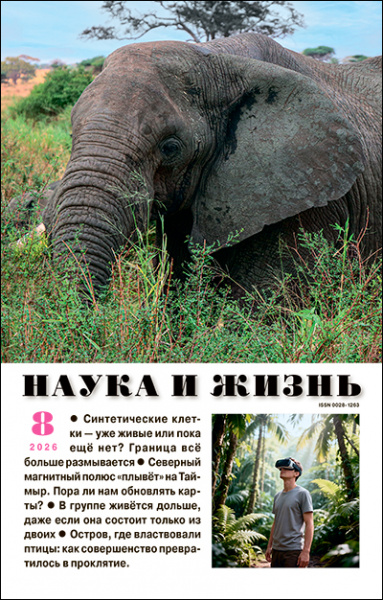 Новый номер научно-популярного журнала «Наука и жизнь» (№8, 2026) в библиотеке