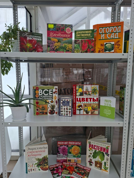 Экскурсия шестиклассников в ПОЗИТИВ