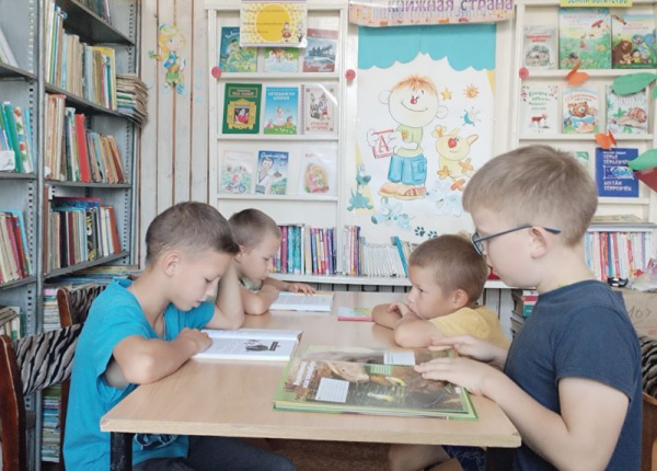 Экология и человек